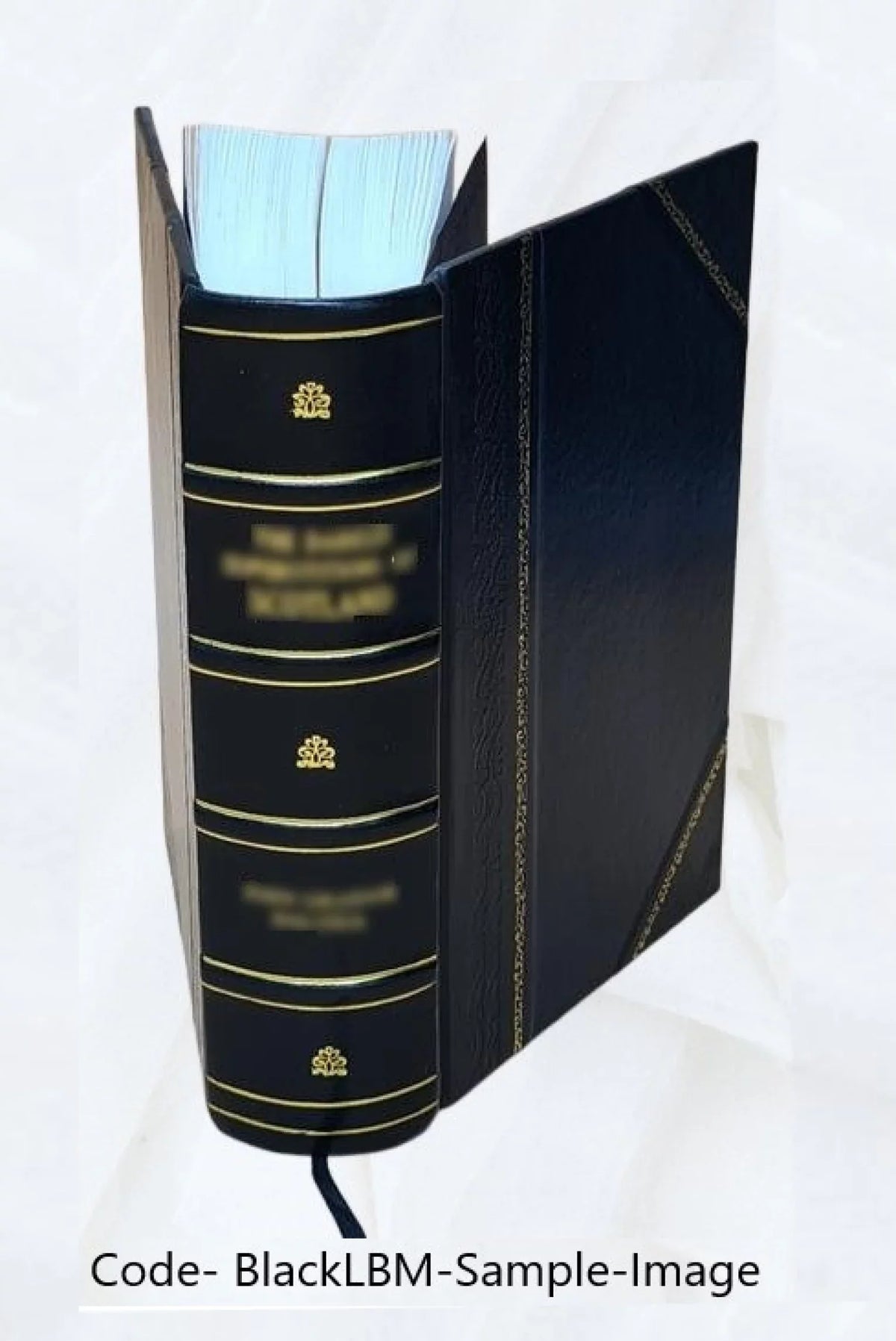 Ciceronis De oratore libri 3. De optimo genere oratorum. De claris oratoribus. Scholia Pauli Manutij. 1569 [Leather Bound]