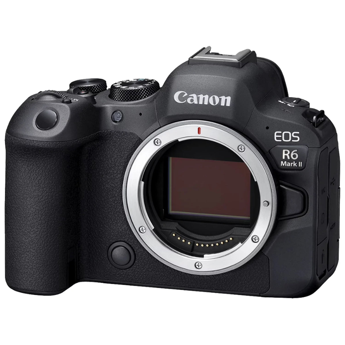 Canon   Mark  Mirrorless Camera (Body) with 2 Pack SanDisk 32GB Memory Card + Case + ZeeTech Accessory Bundle