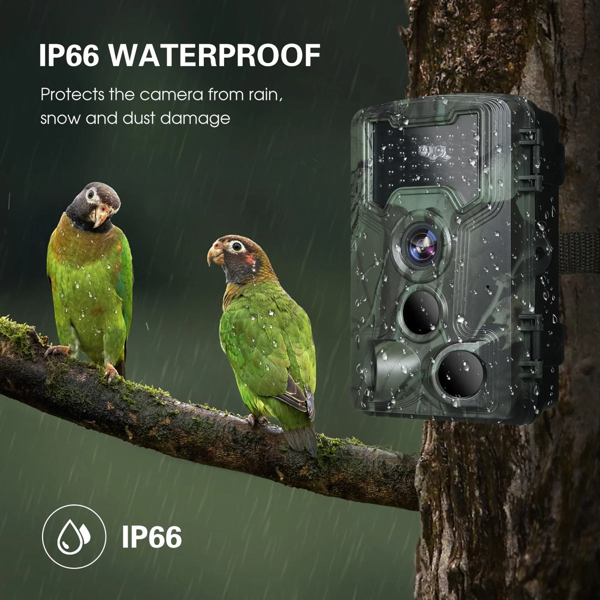 Lixada Trail and Game Camera 36MP 1080P with Night Vision Waterproof  for Wildlife Researching