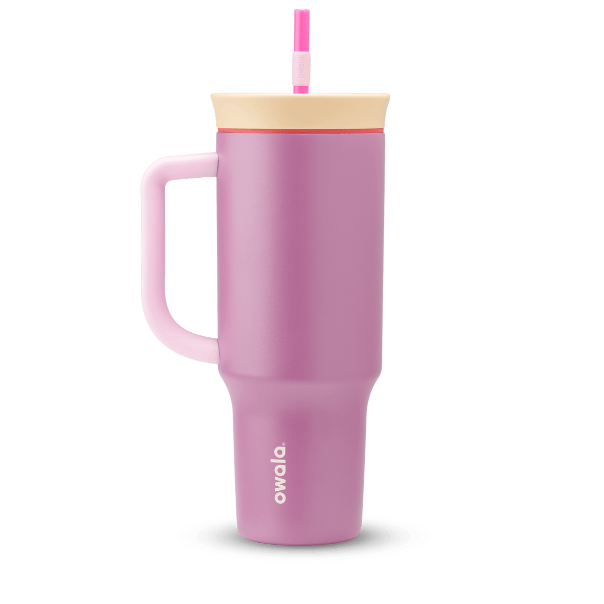 2-in-1 Bottle Brush - Second Set 01